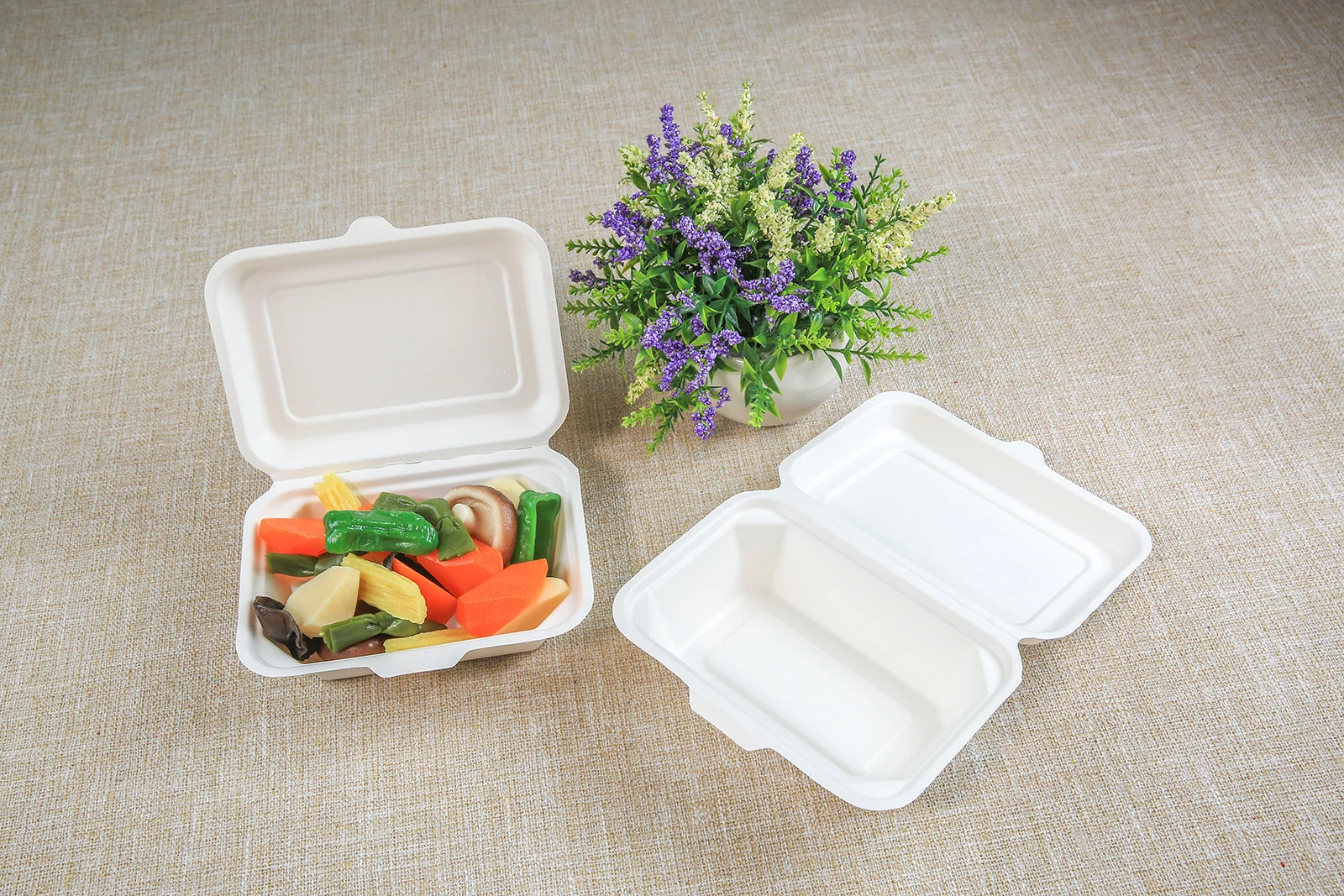 450ml hinged container