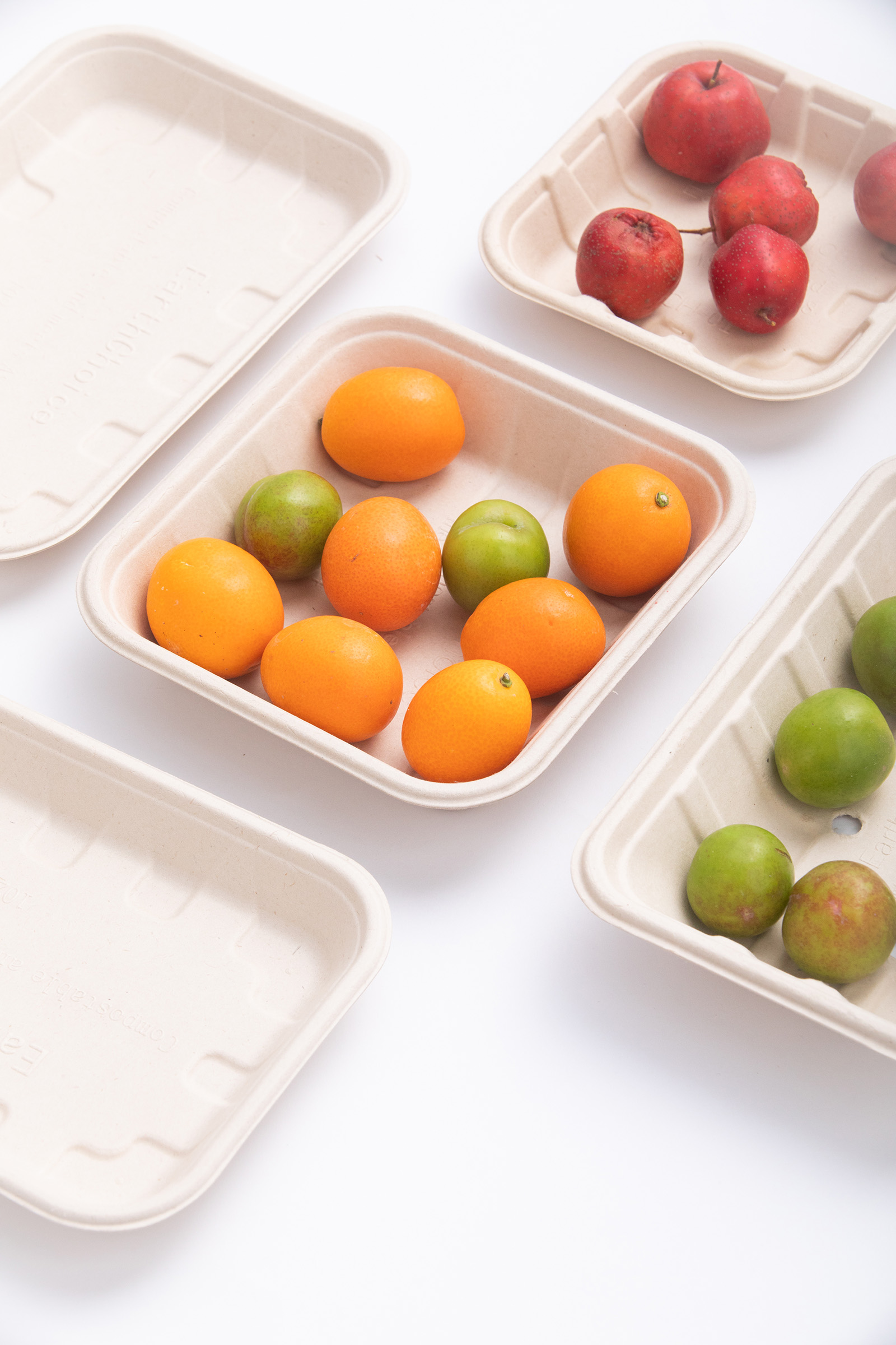 01 Fruit Trays